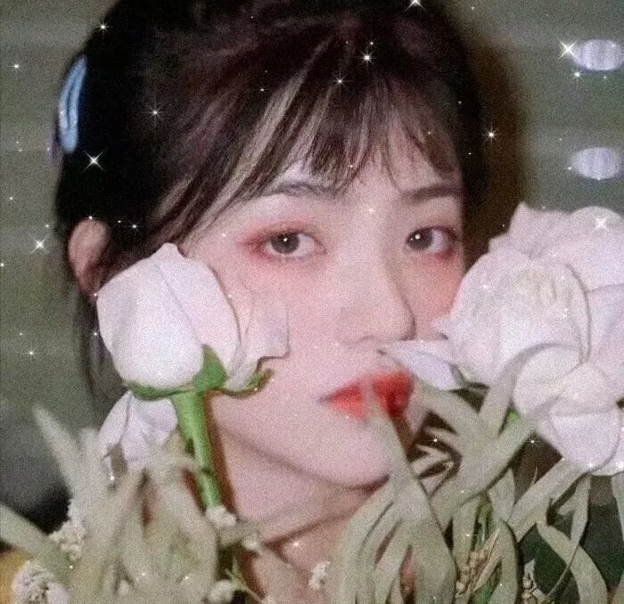 太空英雌芭芭丽娜