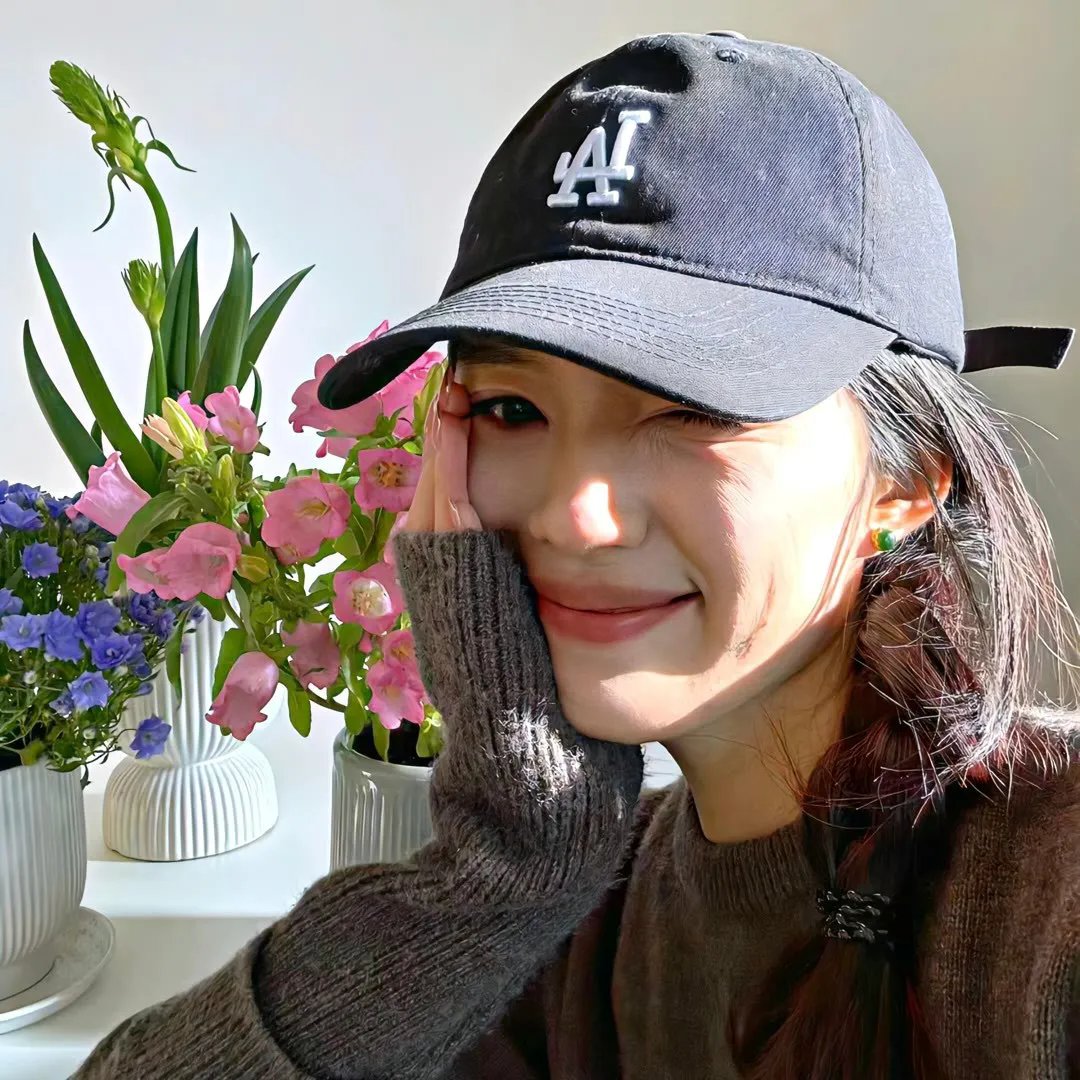梦之森林